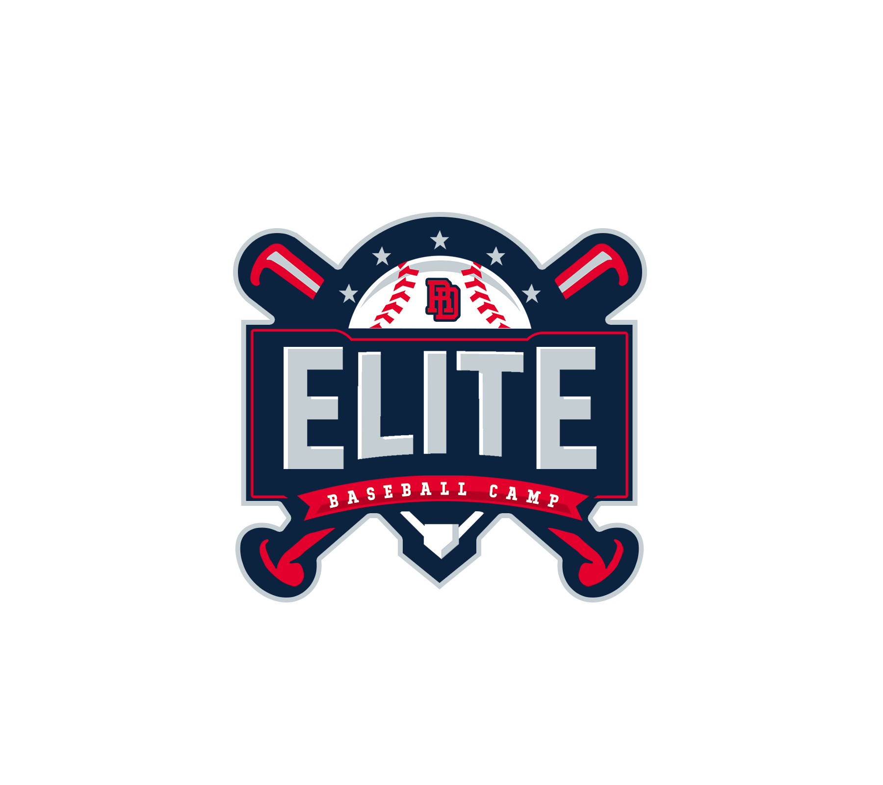 DR Elite Baseball Camp