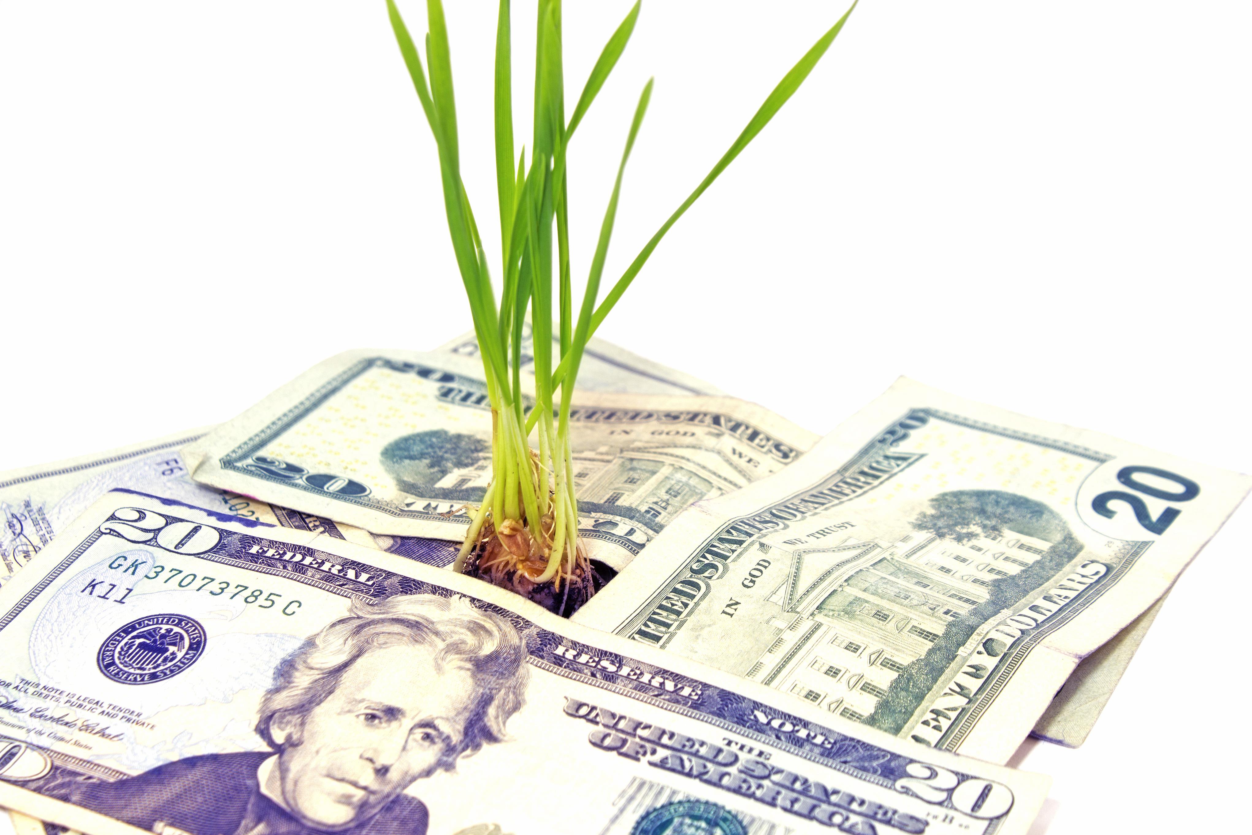 FBL Small Business Loans Carbondale IL