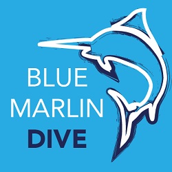 Blue Marlin Dive – GiliTrawangan