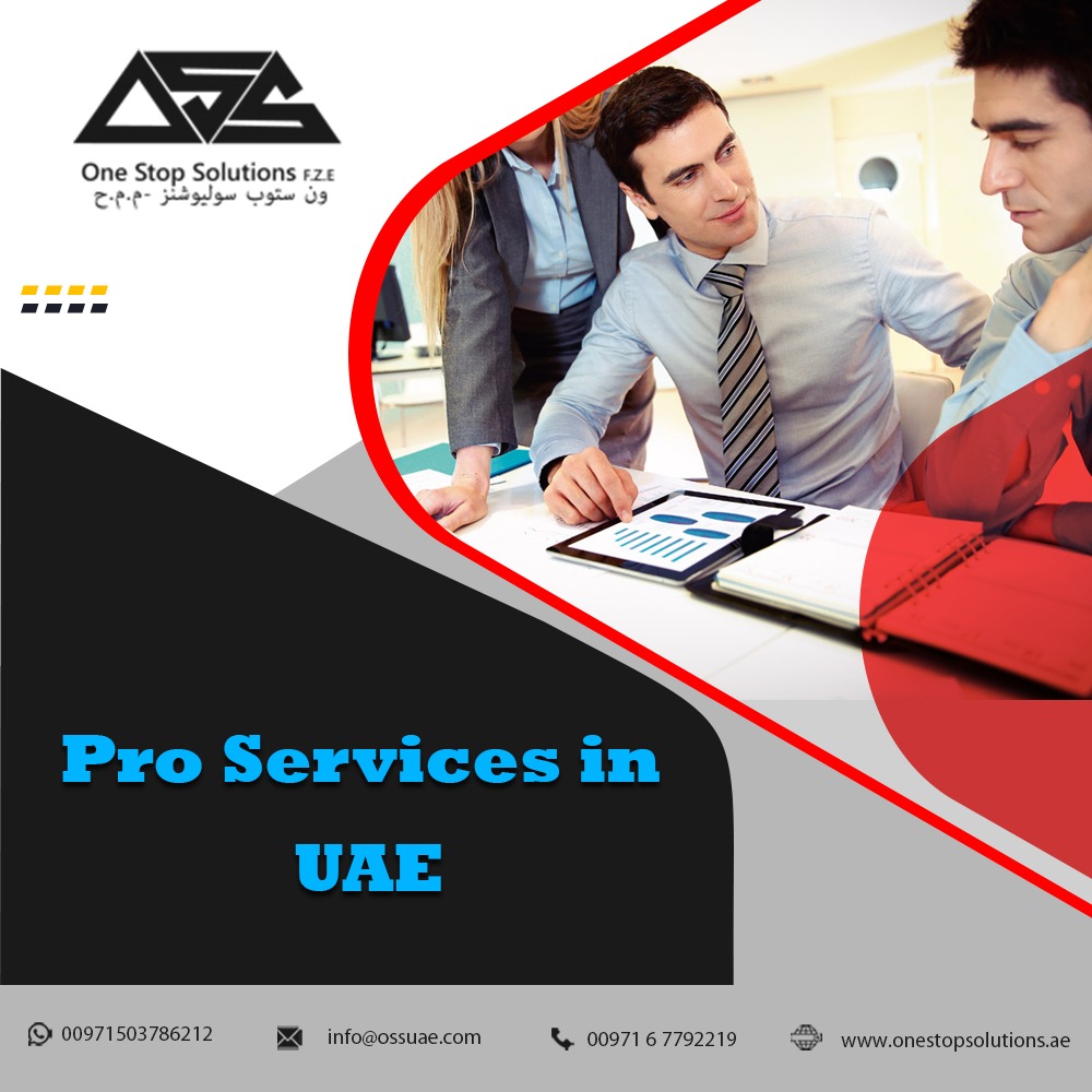 Pro Services in UAE