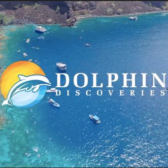 Dolphin Discoveries