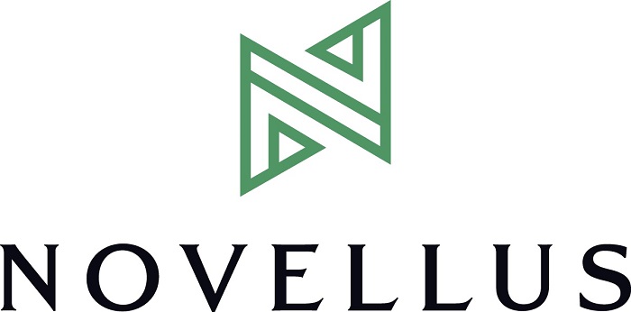Novellus Bridging