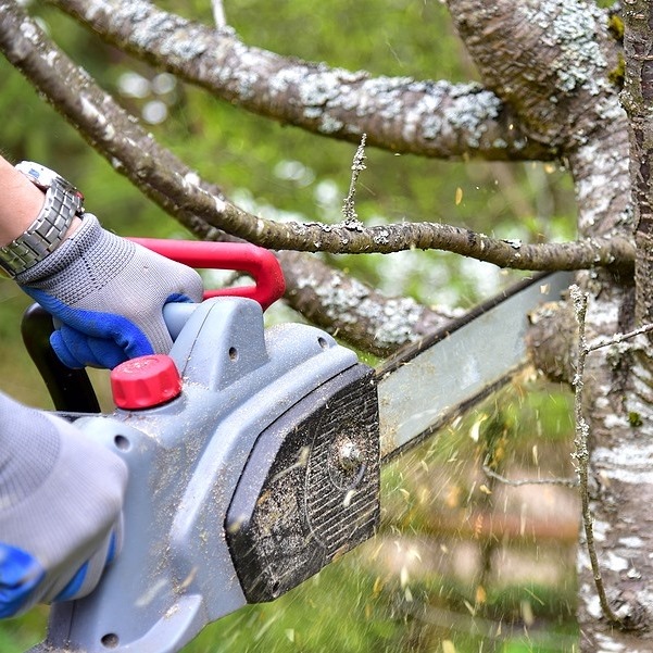 Tyler Tree Service