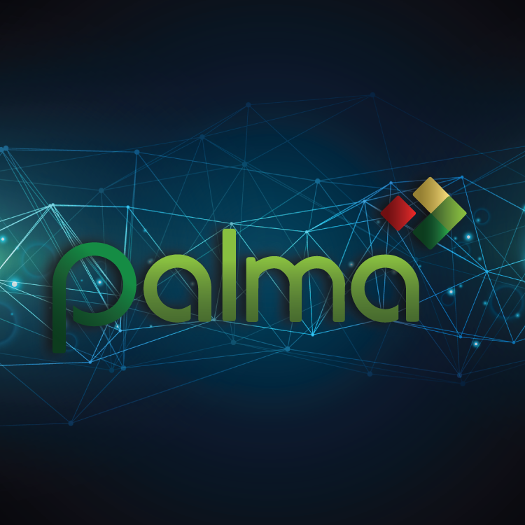 Palma Financial Services
