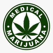 Best Marijuana Store