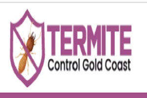 Termite Inspection Gold Coast
