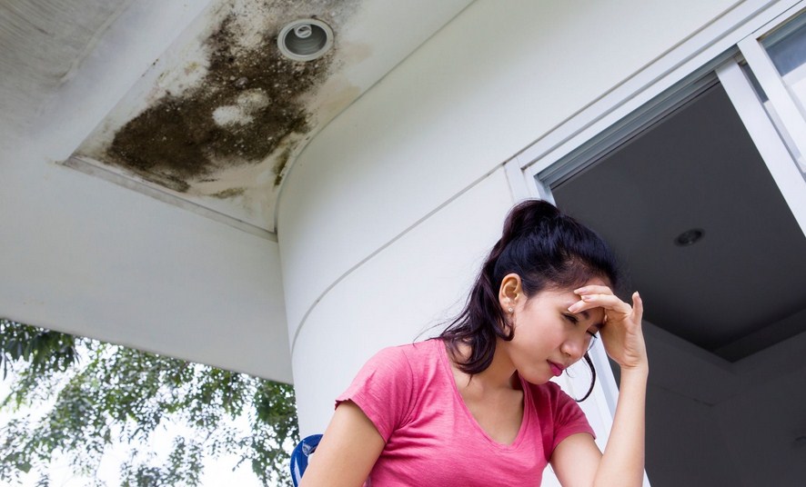 Pali Water Damage Experts