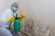 Savanna Mold Removal