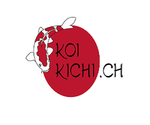 koikichi.ch