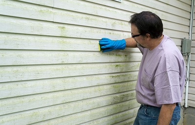 Mold Experts of Marietta