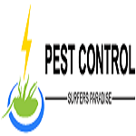 Pest Control Surfers Paradise