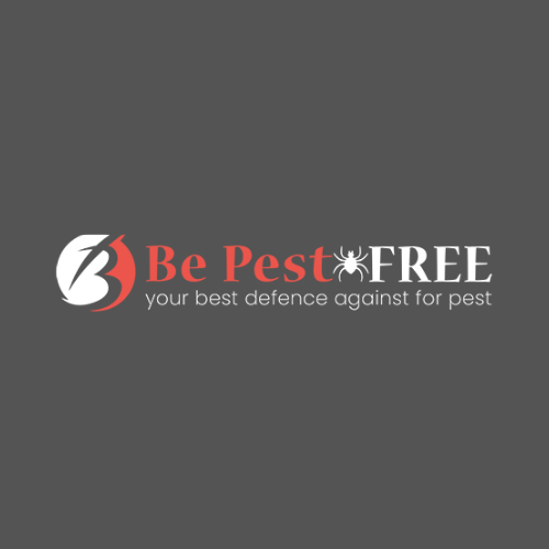 Be Pest Free Spider Control Adelaide