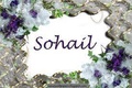 Sohail shairi
