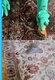 Top Rug Cleaning Melbourne VIC