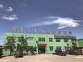 Hebei Dayu Seeds Co.,Ltd.