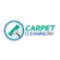 NV Carpet Cleaning Pros