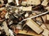 Interior Demolition Services