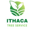 Ithaca Tree Service