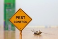 Preventive Pest Control Sydney