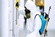 Preventive Pest Control Hobart