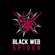 Black Web Spider - Web Design Agency