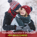Astrologer Contact Number