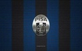 Pisa Carolina, LLC