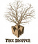 Tree Dropper / Tree Lopping Services Hawkesbury
