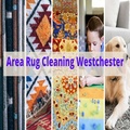 Area Rug Cleaning Westchester