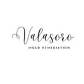 Valasoro Mold Remediation