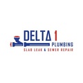 Delta 1 Plumbing