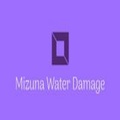 Mizuna Water Damage.