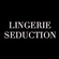 Lingerie Seduction