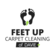 Feet Up Carpet Cleaning of Davie
