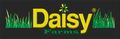 Daisy Farms