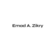 Emad  Zikry