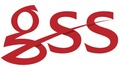 GSS Safety LLC