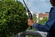 Tree Service Bremerton Pros