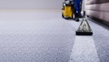 Premium  Carpet Cleaning Services In Brooklyn