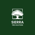 Tree Services Modesto Ca