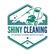 Shiny Cleaning