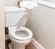 True Toilet