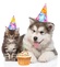 Companion Gifts