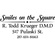Smiles on the Square/ R. Todd Krueger DMD