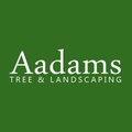 Aadams Tree Service, Trimming, & Stump Grinding Woodinville Wa