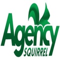 Agency Squirrel