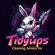 Tidyups Cleaning Service Inc