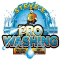 Steve's Pro-Washing