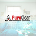 PuroClean Emergency Restoration Services