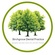 Birchgrove Dental Practice